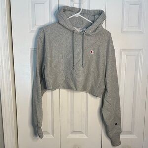 Champion Heather Gray Cropped Hoodie